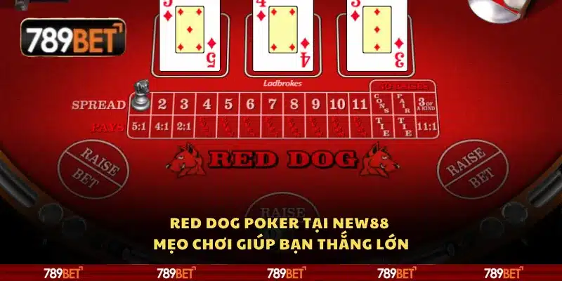 Red Dog Poker tại 789Bet - Mẹo chơi giúp bạn thắng lớn